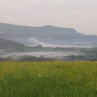 Rakouza Moor