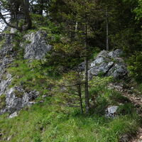 Abstieg Sauwand, Steig etwas ausgesetzt