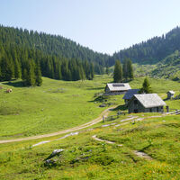 die Hütten der WIesenalm
