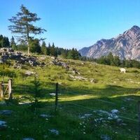 Postalm