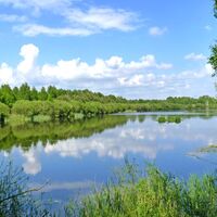 Idyllisches Stillgewässer im Lohmoor