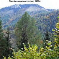 Blick zurück zum Obersberg