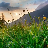 Crap Putèr: Die Flora und Fauna überwältigt einem beim Aufstieg.