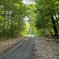 Zum Fischteich