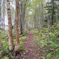 Ukonmäen Naturpfad
