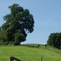 Schönentannen - Alpenpanoramaweg Etappe 18