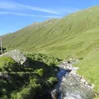 Nessjeri