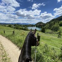 Blick in die Natur