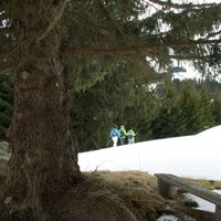 Trail im Bereich Oberer Spitz