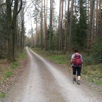 Von Breitenhain zum Wasserschloss Wolfersdorf