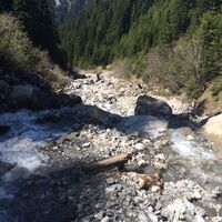 Wildbach