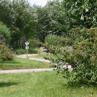 Fahrrad und Wege und Radwege