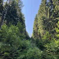 Querung der ORF-Seilbahn zum Dobratsch-Sender (hier Aufblick zur Bergstation und zum Sender)