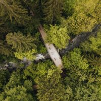 Mountainbiker fahren in der Nähe von der Zaglmühle