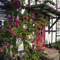 Rosencafé