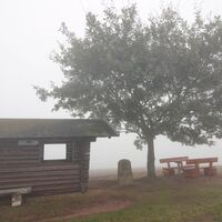 Schutzhütte "Großer Eichelberg" im Nebel