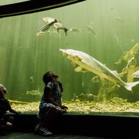 Aquarium der finnischen Fische - Maretarium