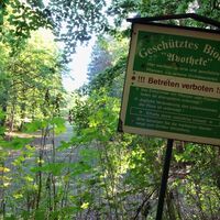 Infoschild mit der dahinterliegenden Apothekerwiese