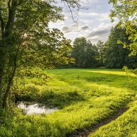 Alles grün auf der Heideschleife Müden 