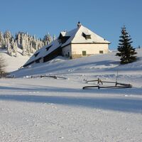 Soldatenhaus im Winter: Stallungen der Lipizzaner-Junghengste