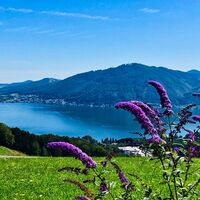Blick vom Grasberg über den Traunsee