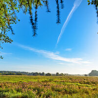 Die Wümmeniederung mit ihren saftigen Wiesen