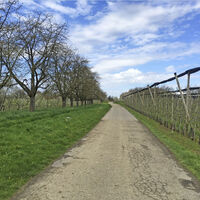 Durch die Obstplantagen