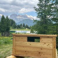 Der Murmeltierpfad ©Archivio Funivia Ciampac e Contrin S.p.A.