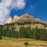 Rosengarten im Nachmittagslicht