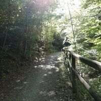 Radweg bei Scheden