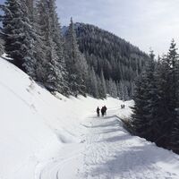 Winterwanderer auf dem 4-Jahreszeiten-Weg Hochwurzen