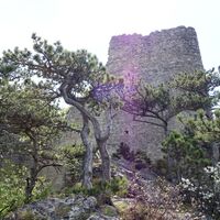 Ruine Rauheneck