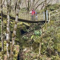Seilbrücke aus der Tiefe gesehen