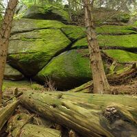 Bärentrail im Waldviertel - der neue Sidestep "Felsengarten", Steinerne Stube