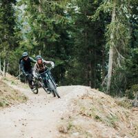 Bifitrail