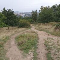 Steiler Single nach Znaim