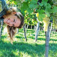 Traisental (Copyright: weinfranz.at)