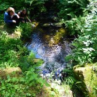 Das Lauterbächle in Höhe Sauteichhütte