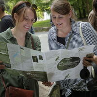 Entdeckung des erweiterten Waldes
