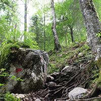 Wanderweg durch die Reichenbachklamm