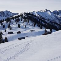 Schneeschuhwanderung Almengebiet Brandenberg