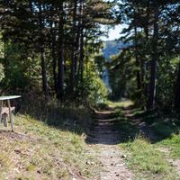 Rotes Kreuz Markt Piesting