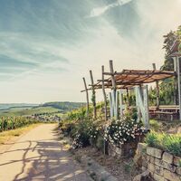 Weinausschank im Zweifelberg | Weinsüden Weinort Brackenheim | HeilbronnerLand