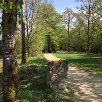 Naturerlebnispfad Hohe Bracht