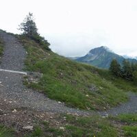 Rundweg Elsenkopf