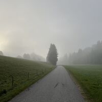Bald reißts auf!