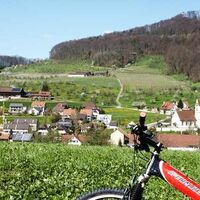 Maisprach und Rebberge