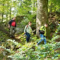 Naturpark-Augenblick-Runde Holzbronn_Ueber historische Staffeln