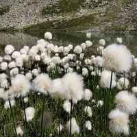 Wanderung Lagh dal Teo