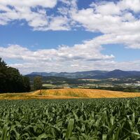 Vierbergeweg mit Blick zum Veits- und Lorenziberg - Richtung Westen